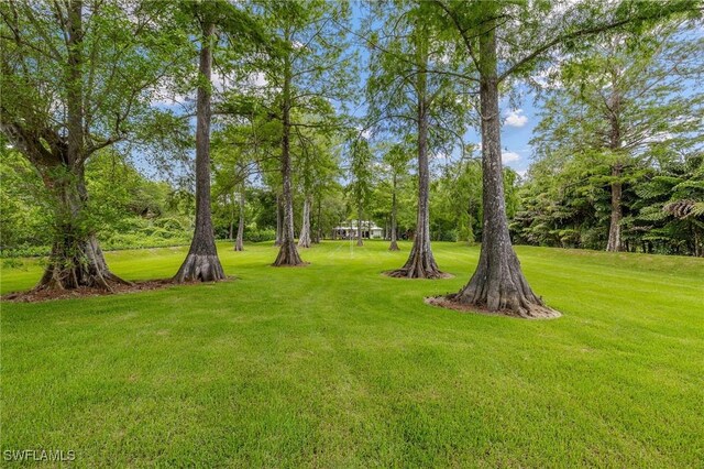 5271 Cherry Wood Dr, Naples, FL 34119 - view of grassy yard with view of wooded area