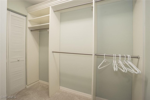 walk in closet with carpet floors