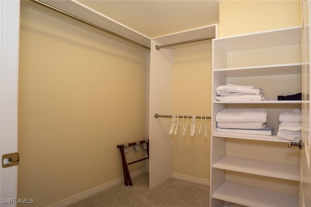 spacious closet featuring carpet floors