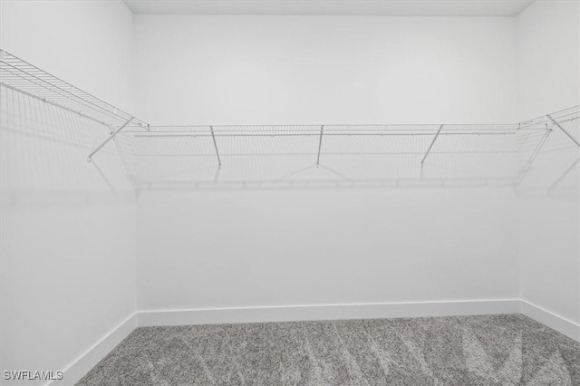 spacious closet with carpet