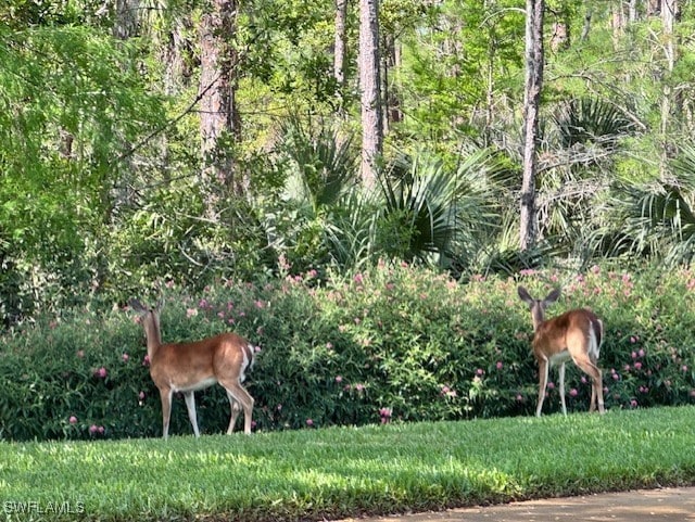 8789 Cedar Hammock Blvd Unit 61, Naples, FL 34112 - view of surrounding community