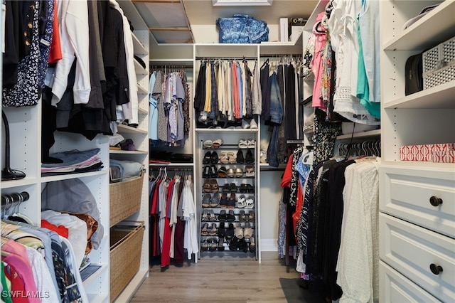 spacious closet featuring wood finished floors
