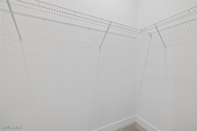 view of walk in closet