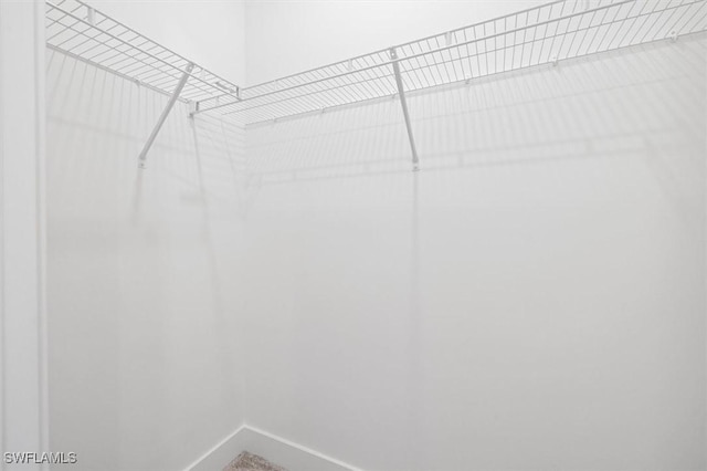 view of walk in closet