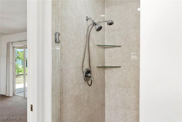 interior details with a tile shower and carpet floors
