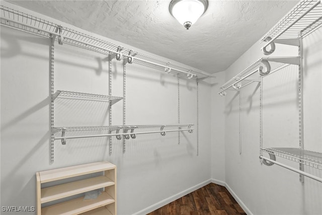 spacious closet with dark wood finished floors