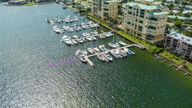 1081 Bald Eagle Dr, Marco Island, FL 34145 - photo 15