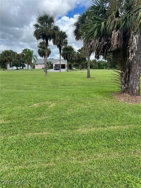 2875 18th Ave SE, Naples, FL 34117 - view of yard