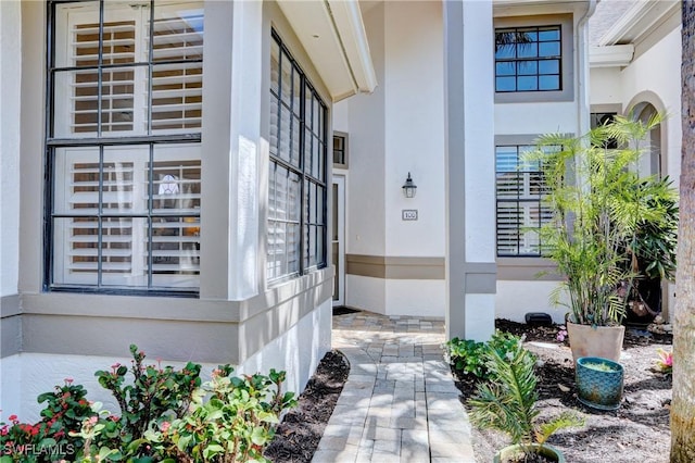 doorway to property featuring stucco siding