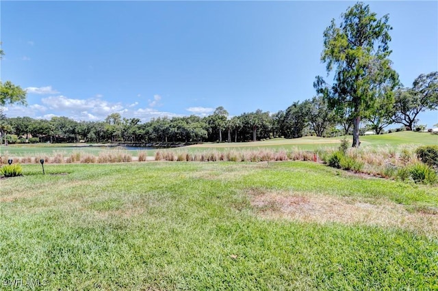 view of yard with a water view