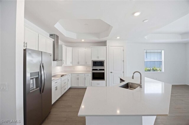 kitchen featuring appliances with stainless steel finishes, wood finished floors, a sink, a tray ceiling, and wall chimney exhaust hood