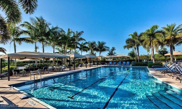 3402 Tigris Ln, Naples, FL 34119 - view of pool