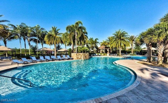 3402 Tigris Ln, Naples, FL 34119 - community pool featuring a patio
