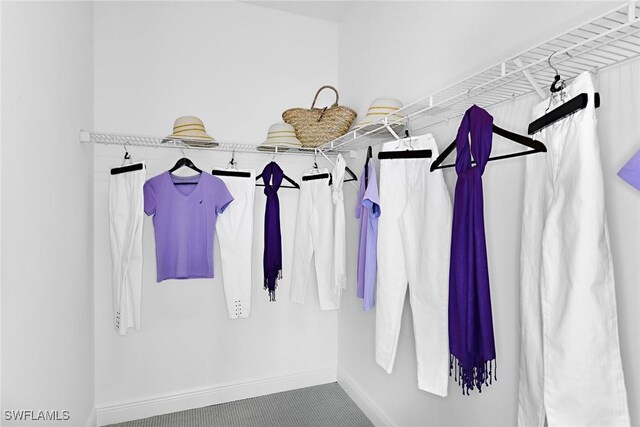 2949 Heritage Pines Dr, Fort Myers, FL 33905 - view of walk in closet