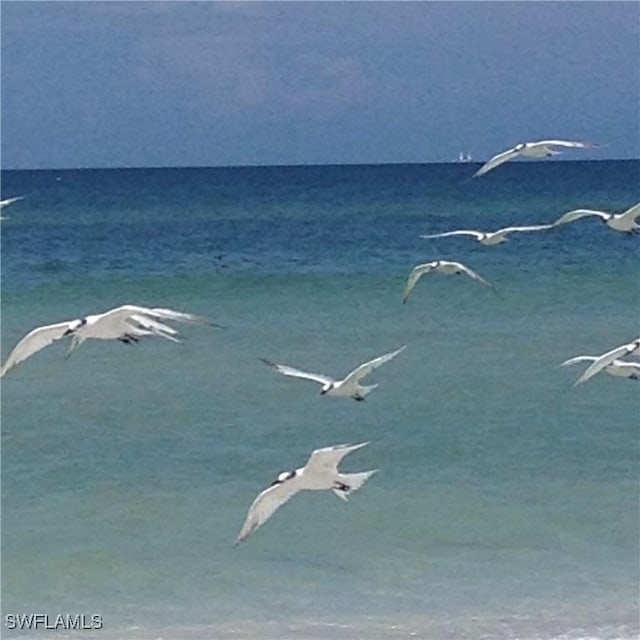 27 Greenbrier St Unit 6-109, Marco Island, FL 34145 - property view of water