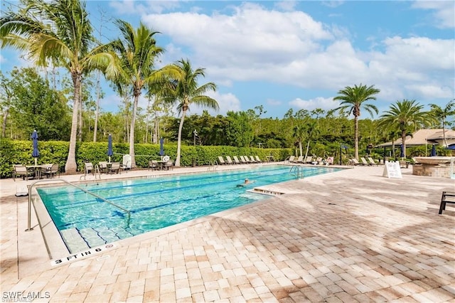 11498 Tiverton Trce, Fort Myers, FL 33913 - community pool with a patio and view of wooded area