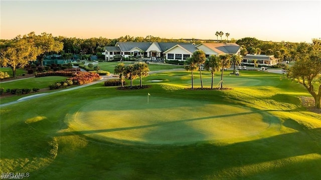 view of community featuring a lawn and view of golf course
