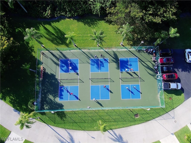 bird's eye view