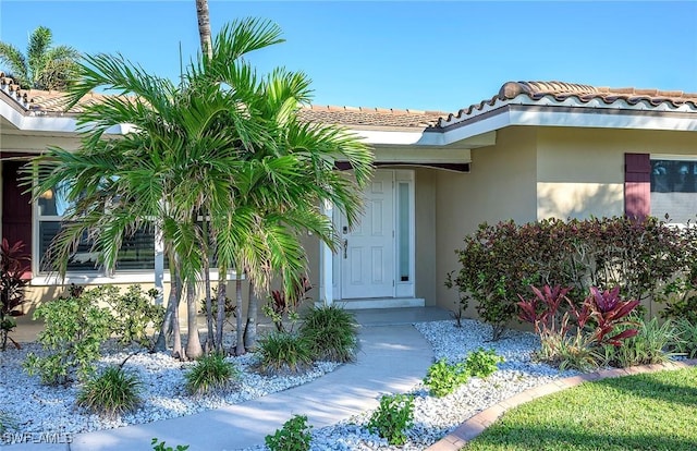 doorway to property with stucco siding and a tiled roof