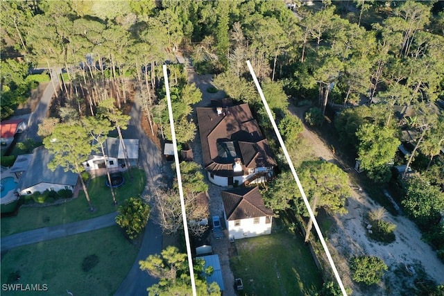 bird's eye view