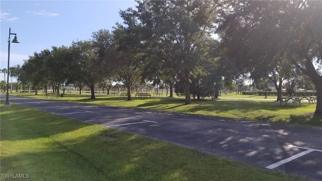 Sarah Ter, North Port, FL 34286