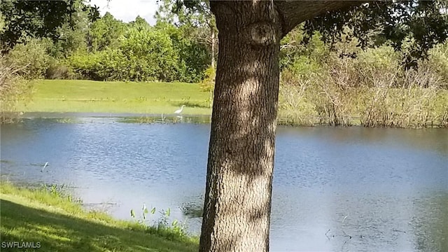 Sarah Ter, North Port, FL 34286