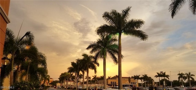 Sarah Ter, North Port, FL 34286