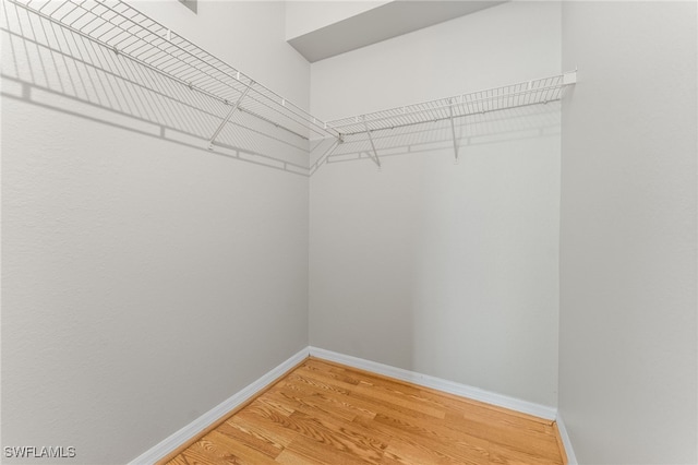 7940 Preserve Cir Unit 914, Naples, FL 34119 - walk in closet featuring light wood-type flooring