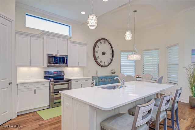 kitchen featuring a sink, crown molding, light wood-style flooring, and appliances with stainless steel finishes