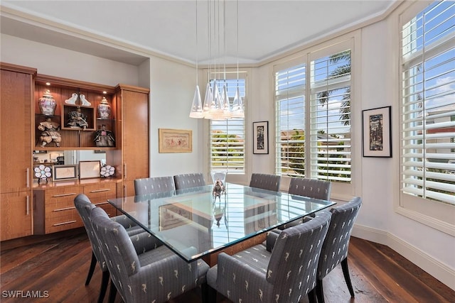 dining room featuring baseboards and dark wood-style floors