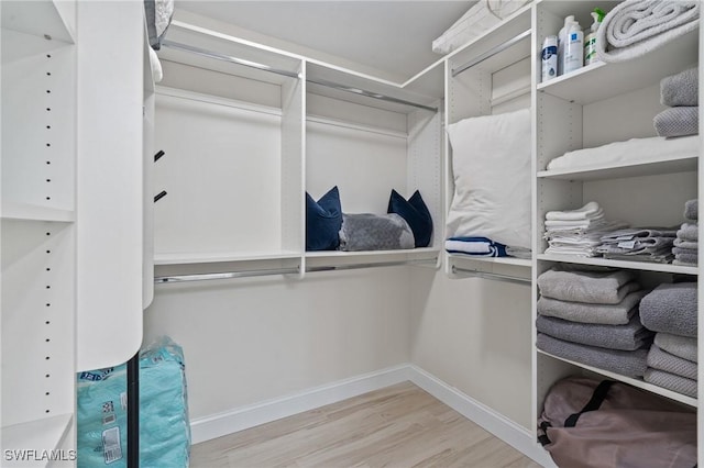 spacious closet featuring wood finished floors