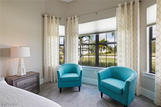 19720 Panther Island Blvd, Estero, FL 33928 - carpeted bedroom with baseboards and multiple windows