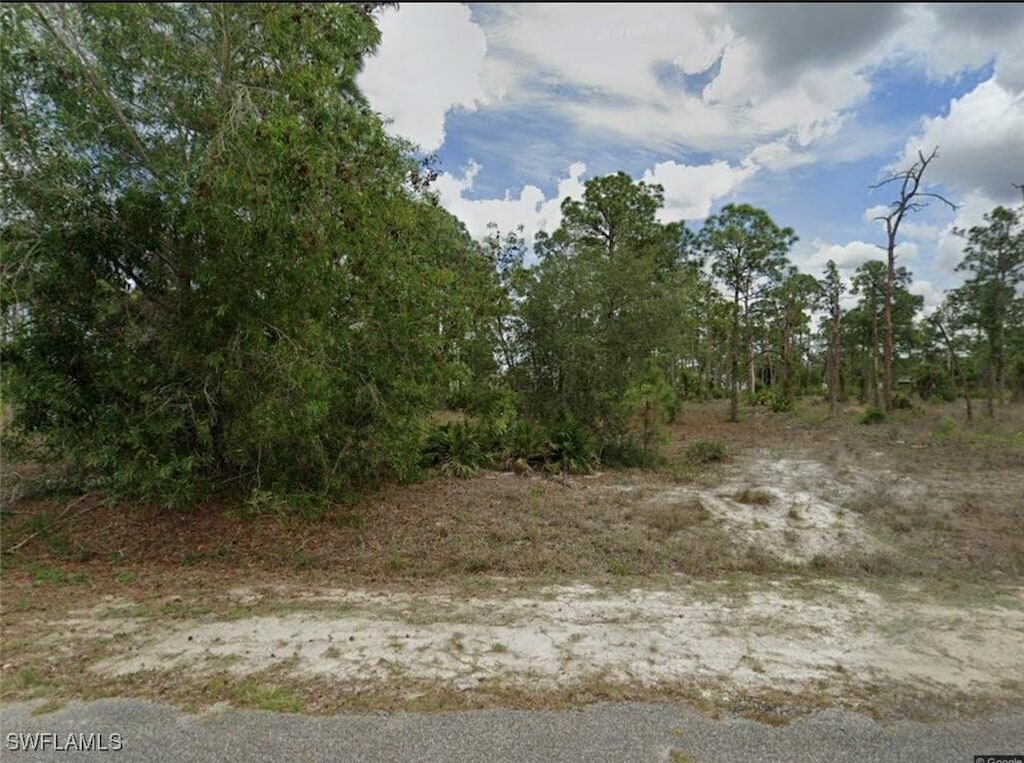 326 Johns Ave, Lehigh Acres, FL 33936 - photo 3