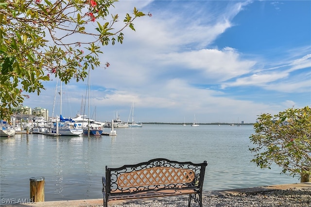 property view of water