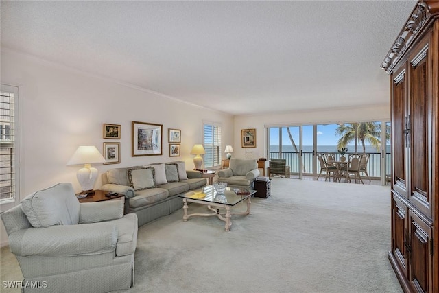 1275 Gulf Shore Blvd N Unit 301, Naples, FL 34102 - carpeted living area featuring crown molding and a water view