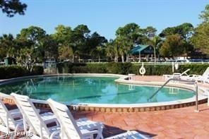view of community pool