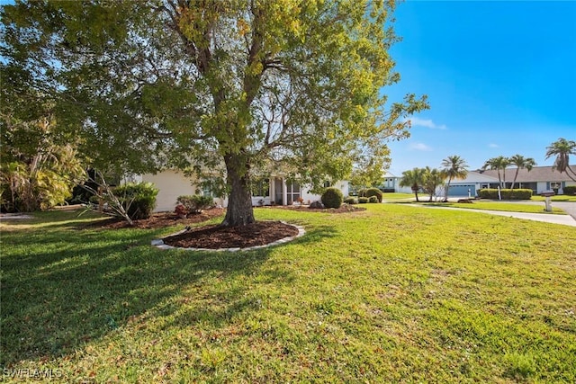 6012 Perthshire Ln, Fort Myers, FL 33908 - view of grassy yard with concrete driveway
