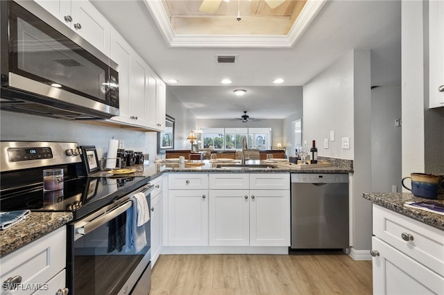 15400 River Vista Dr Unit 304, North Fort Myers, FL 33917 - kitchen with visible vents, a sink, a tray ceiling, a ceiling fan, and appliances with stainless steel finishes