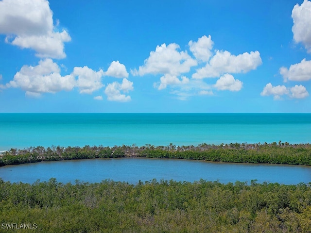 property view of water