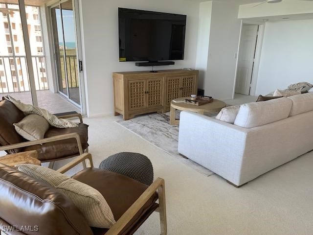 living room featuring carpet floors