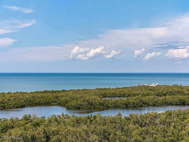 water view with a forest view