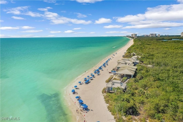 birds eye view of property with a view of the beach and a water view