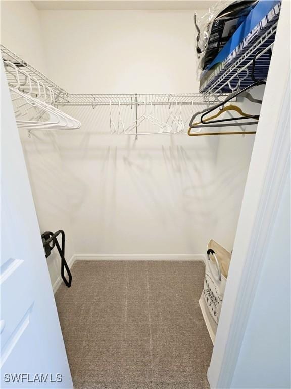spacious closet with carpet floors
