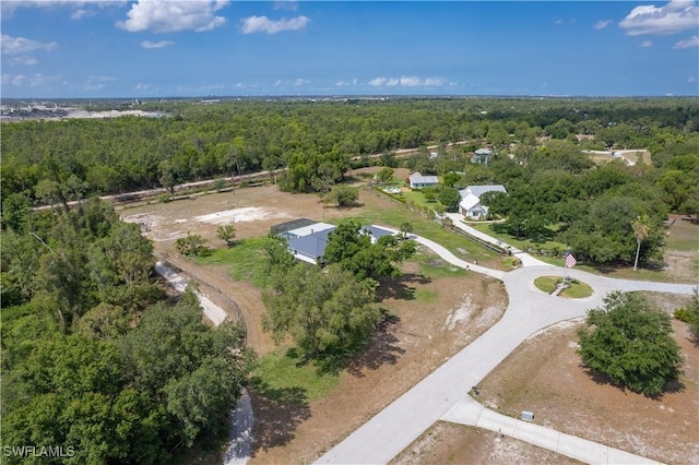 15971 Triple Crown Ct, Fort Myers, FL 33912 - photo 46