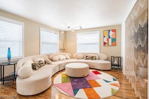 living area with wood finished floors and a wealth of natural light
