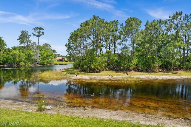 23125 Marsh Landing Blvd, Estero, FL 33928 - view of water feature