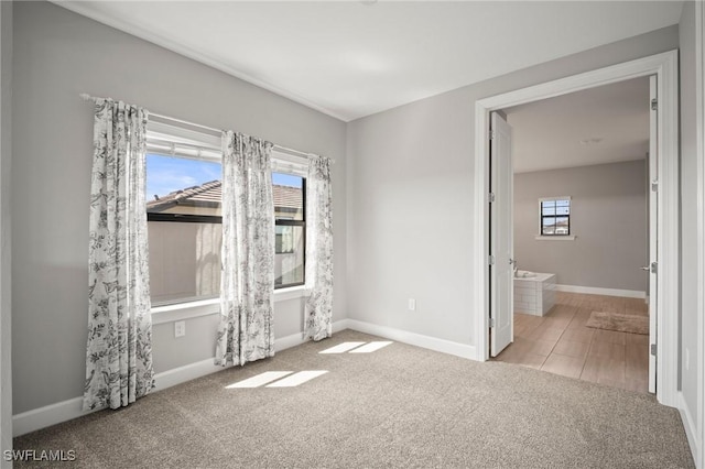 interior space featuring baseboards, carpet flooring, and ensuite bath