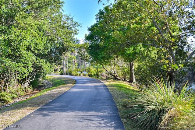 6549 Marissa Loop Unit 26, Naples, FL 34108 - view of street