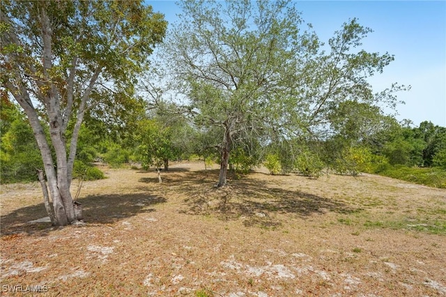 view of landscape