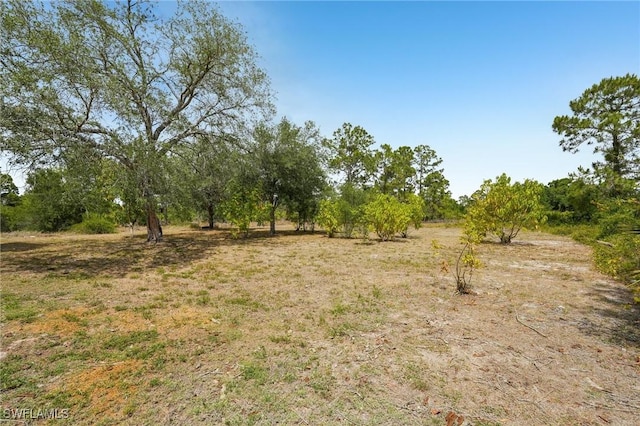 view of landscape